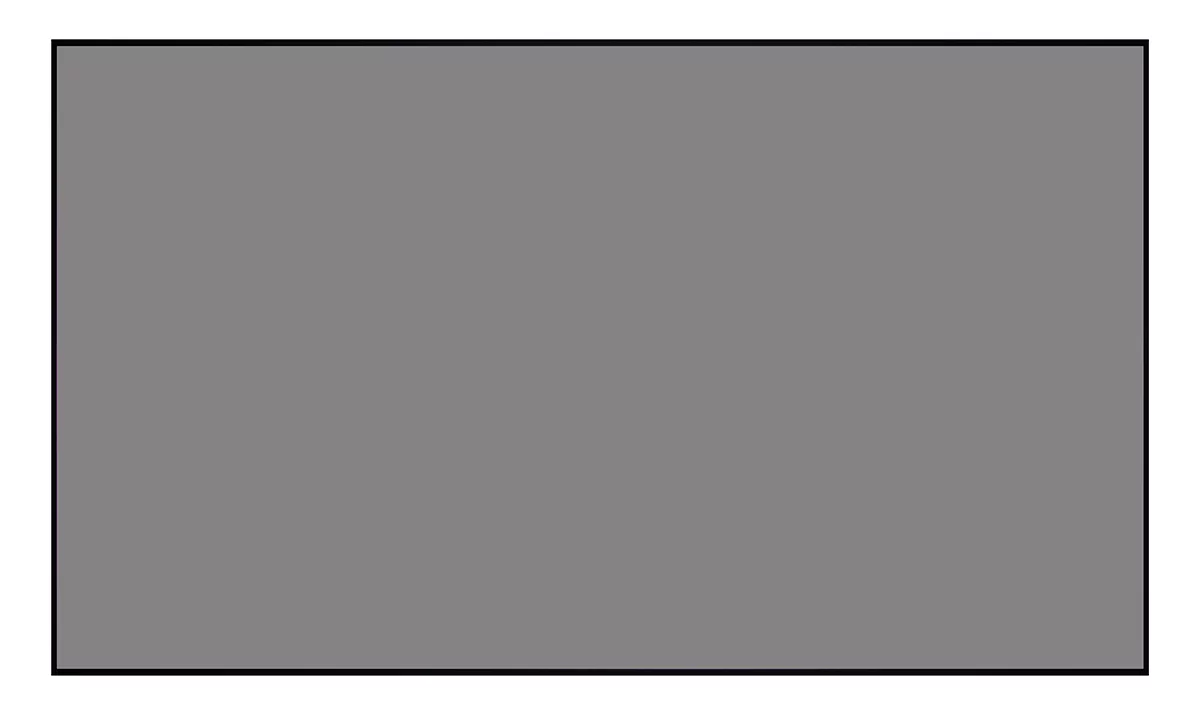 [LCTB-100205] Экран Lumien Cinema Thin Bezel